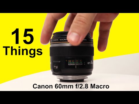 Video thumbnail for Video Review 3