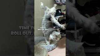 Laugh Til You Cry Animal Voiceovers! 😭