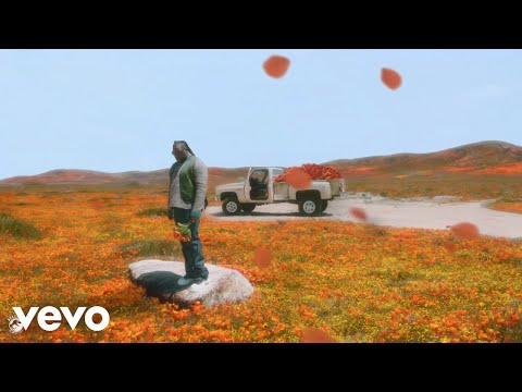 Rexx Life Raj - Slow Down (Official Visualizer)