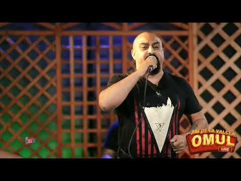 Florin MITROI - Mai acuma vreo 2 ani toti fraieri faceau bani ✘ LIVE @AdidelaValceaOmul
