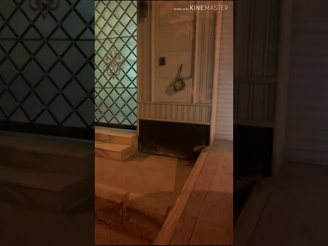 أنوار LED بجودة عالية شرايح philips متوفر لون 5700...