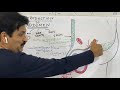 ABDOMEN LECTURE 1 Introduction To Abdomen