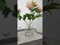 Youtube-видео 