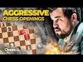 The Top 5 Best Chess Openings For Aggressive Beginners