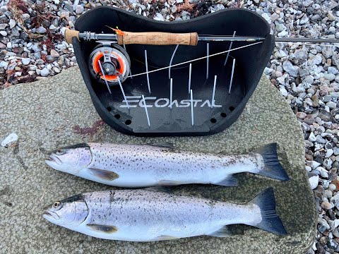52cm og 48cm Havrred 27 03 2020