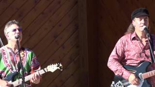 The Large Flowerheads - Golden Slumbers/Carry That Weight/The End