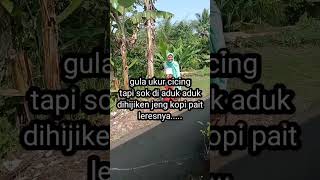 Download lagu pepatah Islami dalam bahasa Sunda hidup harus sabar mp3