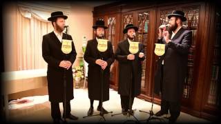 "ירושלים תתן קולה" • מלכות וזאנוויל שרים ווקאלי לירושלים | Zanvil Weinberger & Malchus Choir