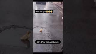 essa foi boa kkkkkk #memes #comedia #tops #furyou #viral #funnyvideos #humor #engraçado #comedia