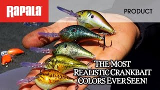 Rapala Shad Rap 06 VDH