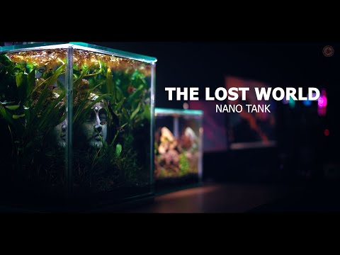 LOST WORLD Nano tank aquascape.