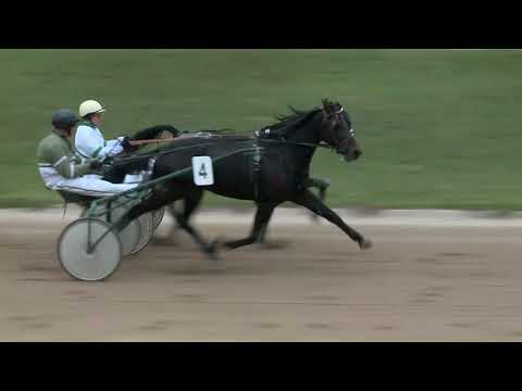 2017.10.21. 6. futam - FÖVENY HENDIKEP