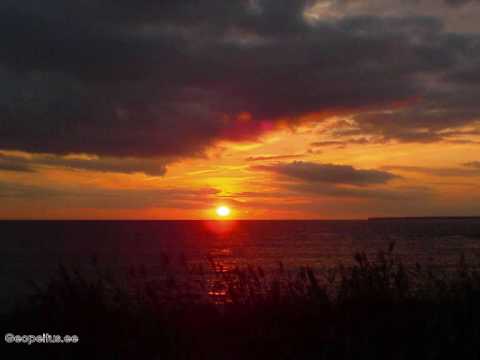 Pearu Paulus-Olen loobuda  sust proovinud