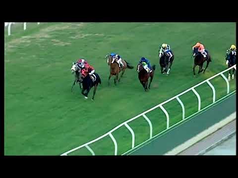 Napoli Galoppo 16/01/2022 - 5ª corsa