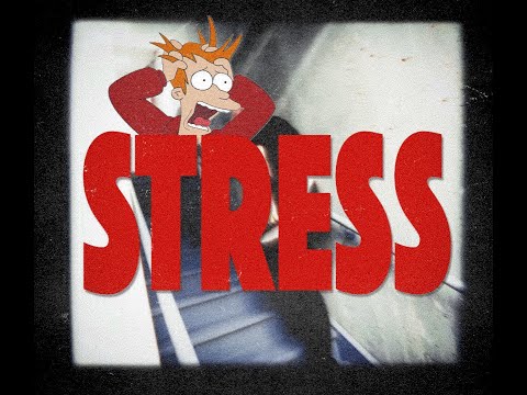 2FLYYYH X MCFLYY - STRESS  (VIDÉOCLIP OFFICIEL)