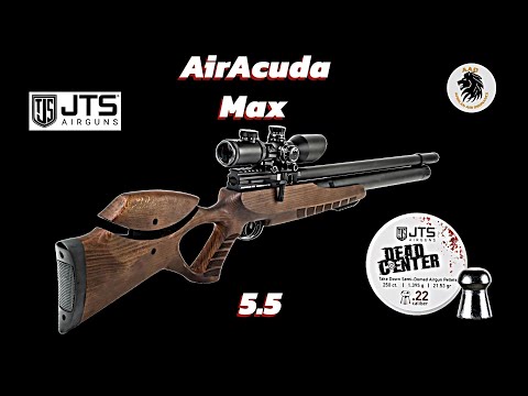 JTS AirAcuda Max in 5 5mm test at 55 yards with JTS Dead Center 21 53gn pellets