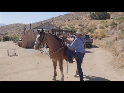 Teaching Your Horse to Stand Still While You Get On