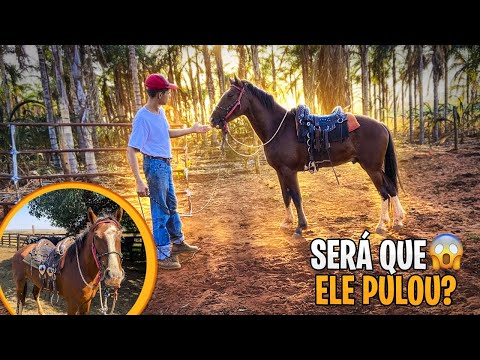 COLOQUEI ARREIO NO CAVALO NOVO