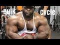 Best choice for bulking cycles ? Road to recovery -Q and A