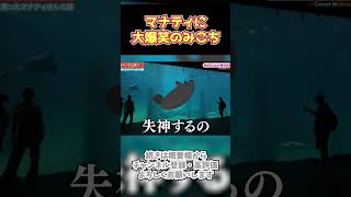 マナティに大爆笑のみこちw【ホロライブ／さくらみこ/星街すいせい】#shorts