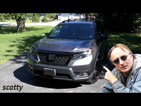 What the Hell is This