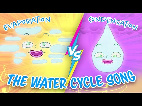 The Water Cycle Song! 🎵🌧️
