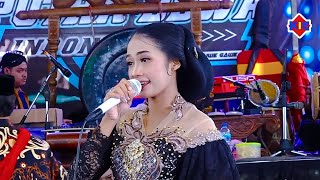Download lagu KEMBANG PROBOLINGGO // Putra Dewa // KiE mp3 Download lagu KEMBANG PROBOLINGGO // Putra Dewa // KiE mp3