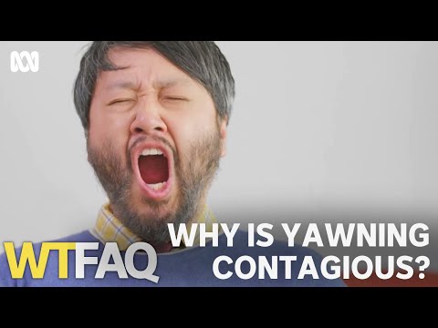 Why is yawning contagious? | WTFAQ | ABC TV + iview