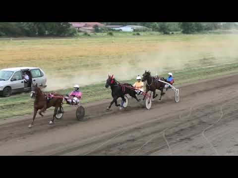 Trka "MZ Lozovik" 12.07.2019 Jimmy Oaks - Milan Tasić