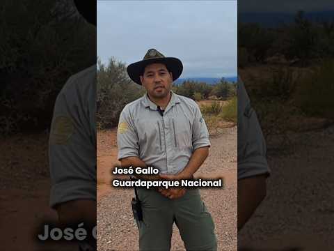 Talampaya: El lugar que siempre sorprende