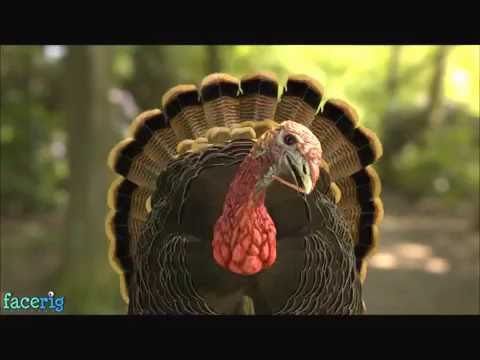 Poultry Rants: I HATE MASTER YI - Ban Master Yi