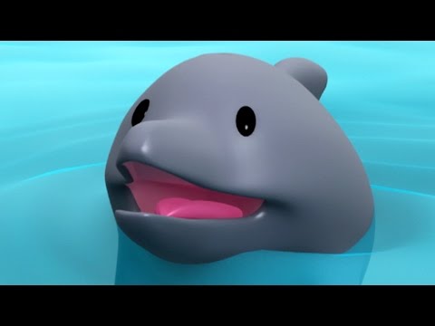 download lagu mp3 mp4 Dolphin Cartoon, download lagu Dolphin Cartoon gratis, unduh video klip Dolphin Cartoon