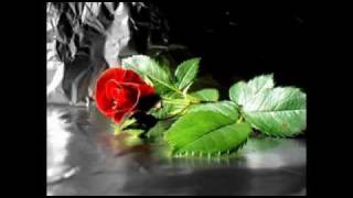 royer -forever- restos de abril