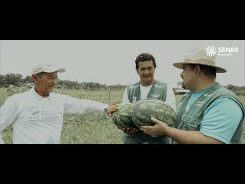 WEBSÉRIE ATEG - CAPÍTULO 06 - GENTIL FREIRE