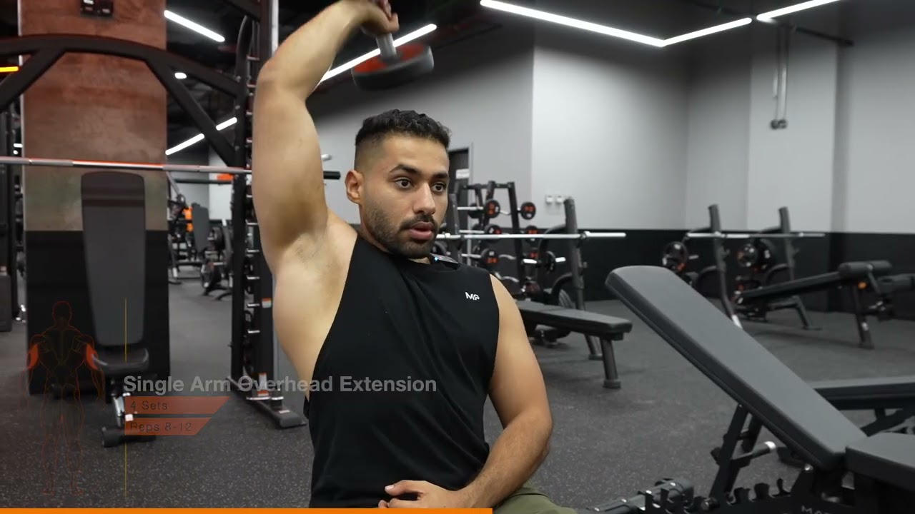 التمرين الخامس : 8 - 12 مرة