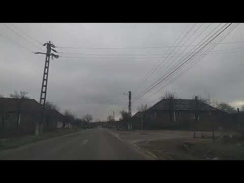 Chiribis Bogei Popesti Bihor(2)