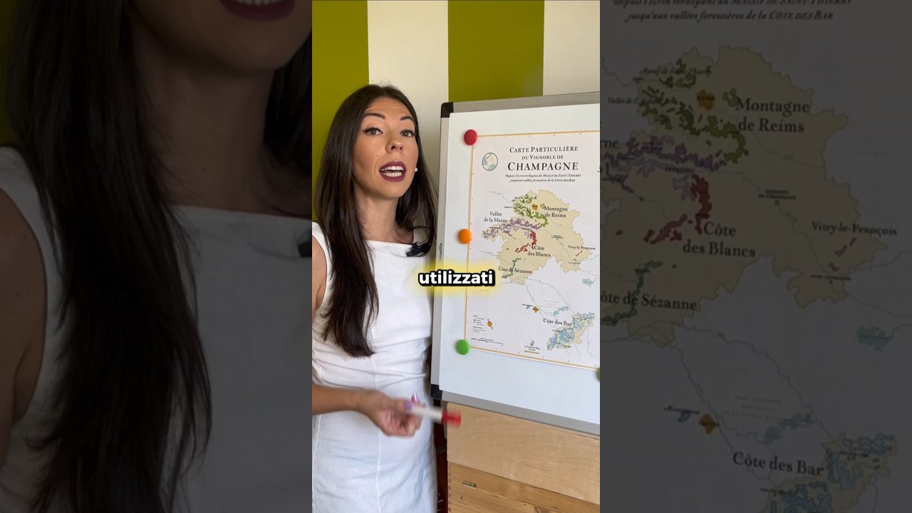 Lezione n. 3 di Champagne: Oggi parliamo di vitigni! 🍾 #vino #vini #winesalad #corsovino