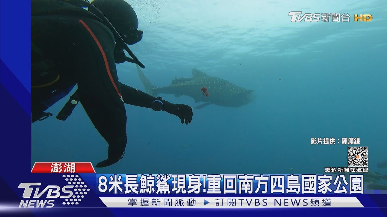 人人都能成為海洋園藝師 親自潛水種珊瑚