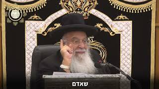 דרך ארץ קדמה לתורה