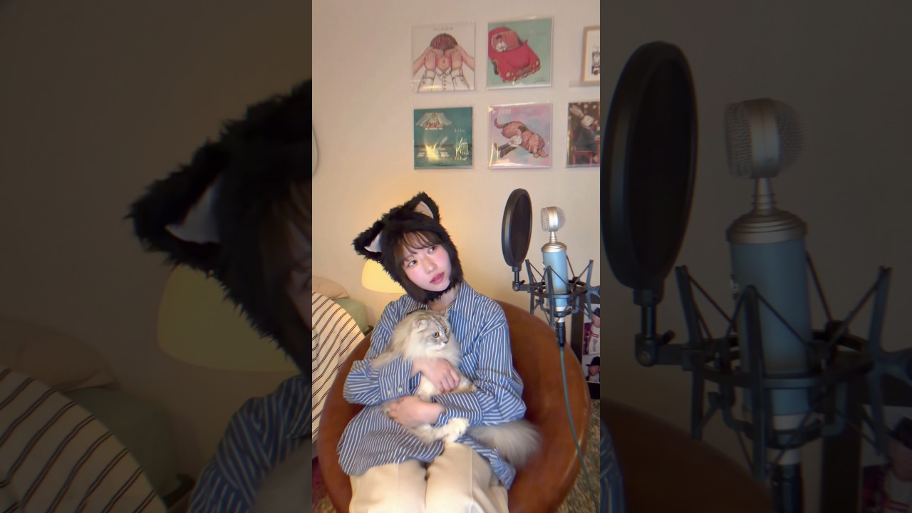 「wagahai」配信まであと4日🐈‍⬛ #tellar #newsong #jpop #ssw #shorts