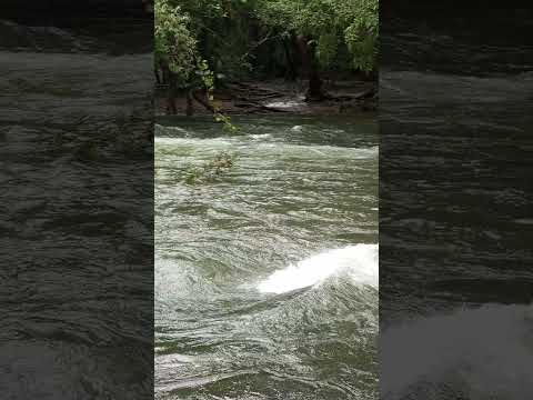 #attapadi #bavani#river #beautiful  #photography ❤️❤️❤️🔥🔥