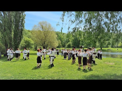 Ansamblul de dans popular Hora Mare, Suită de la Prut