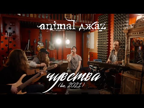 Animal ДжаZ — Чувства (Акустика, Live, 2021)