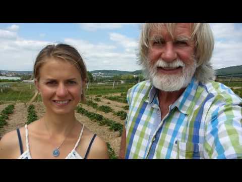 Im Wechsel der Welten: Von der "Alm" zum ERDBEER-Acker