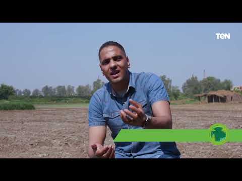 img-video