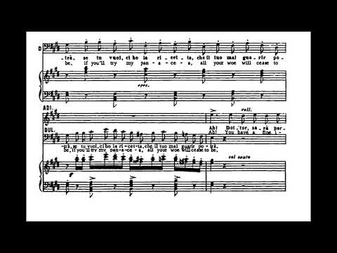 Quanto amore (L'elisir d'amore - G. Donizetti) Score Animation