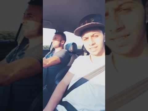 Bos de bos david zis finutu