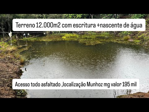 Nascente de água+escritura valor 195 mil localizado em Munhoz mg área 12.000m2WhatsApp 3599723-0539