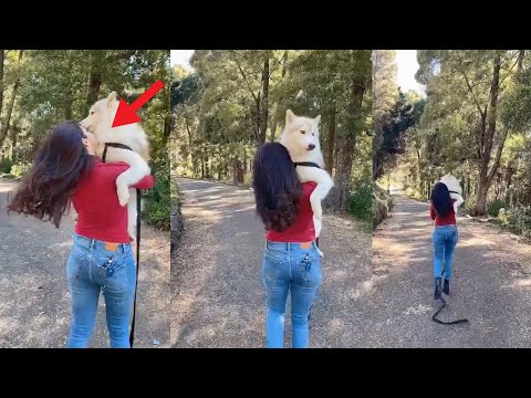Actress Pranitha Fun Time With Her Pet Dog || Telugu Tonic