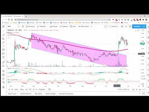 2021.01.31 Niedzielny bonus dla abonentów - omówienie spółek z czatu południowego